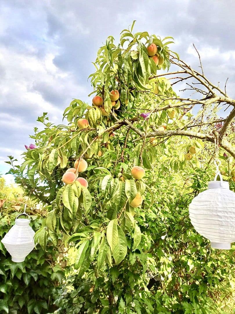 house for sale, 110 m², Mühltal, Hesse house for sale, 110 m², Mühltal, Hesse