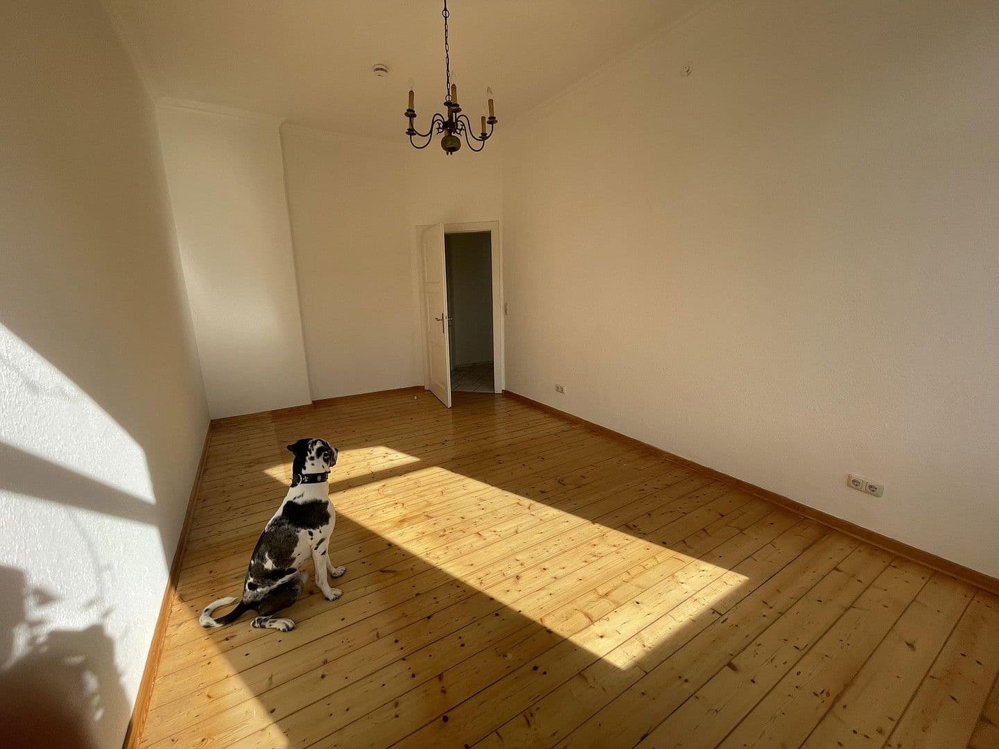 4 bedroom flat to rent, 120 m², Jahnstraße 7, Osnabrück, Lower Saxony 4 bedroom flat to rent, 120 m², Jahnstraße 7, Osnabrück, Lower Saxony