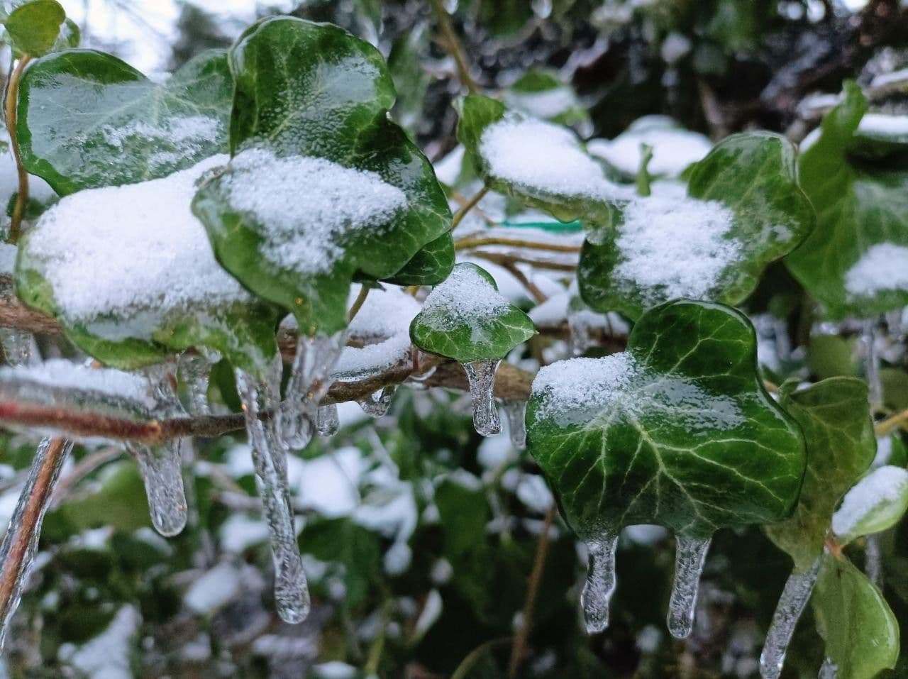 plot for sale, 1,020 m², Berlin, Berlin plot for sale, 1,020 m², Berlin, Berlin