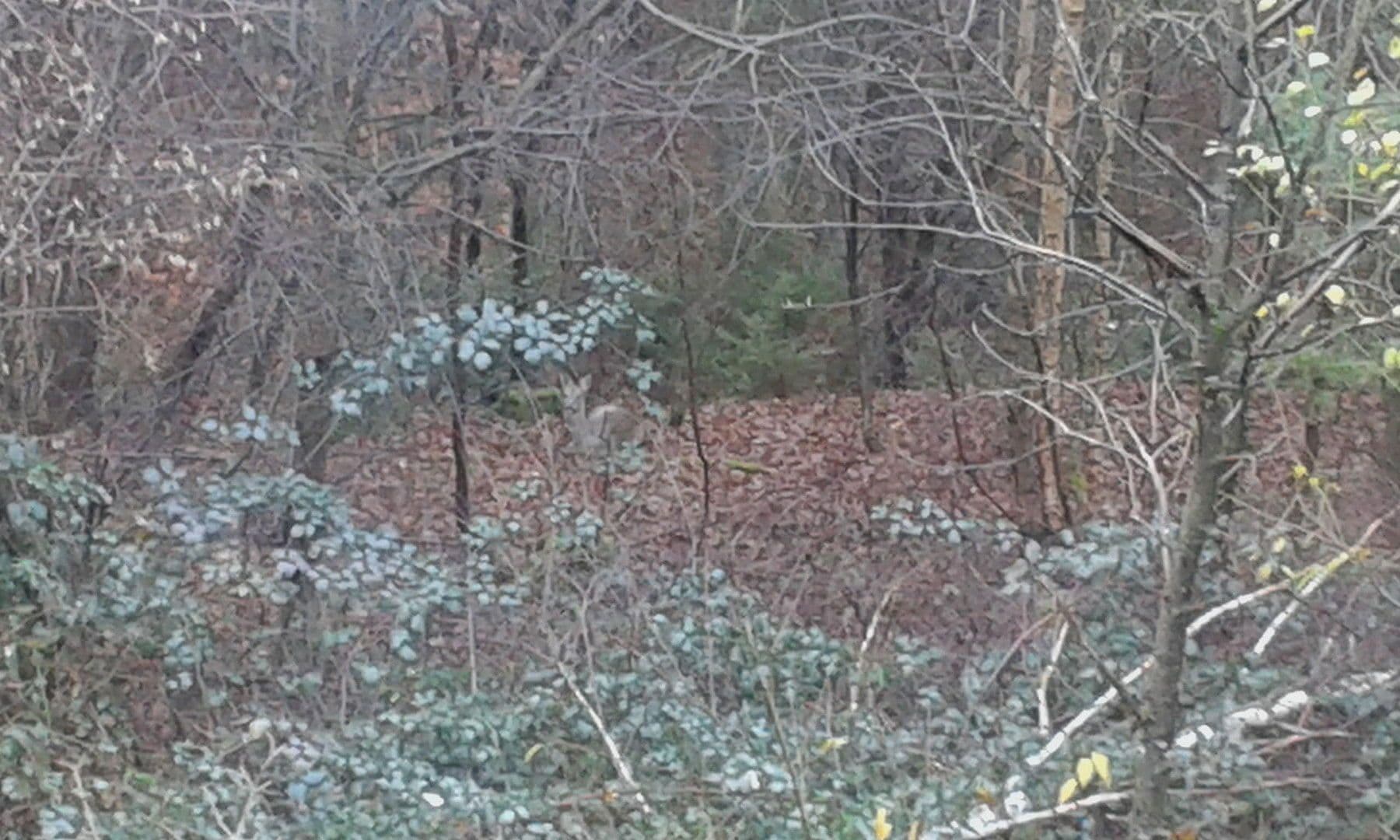 house for sale, 224 m², Carlsberg, Rhineland-Palatinate house for sale, 224 m², Carlsberg, Rhineland-Palatinate