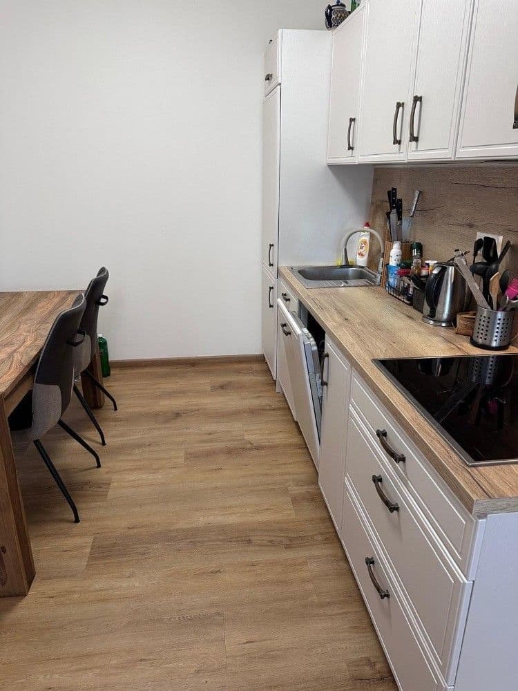 1 bedroom with open-plan kitchen flat to rent, 54 m², Jeneweinova, Brno, Jihomoravský Region 1 bedroom with open-plan kitchen flat to rent, 54 m², Jeneweinova, Brno, Jihomoravský Region