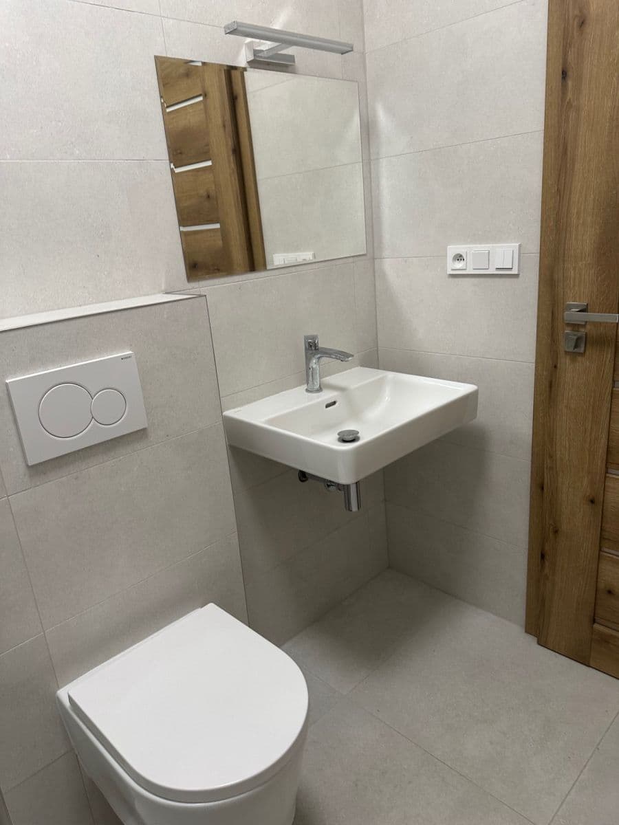 1 bedroom with open-plan kitchen flat to rent, 54 m², Jeneweinova, Brno, Jihomoravský Region 1 bedroom with open-plan kitchen flat to rent, 54 m², Jeneweinova, Brno, Jihomoravský Region