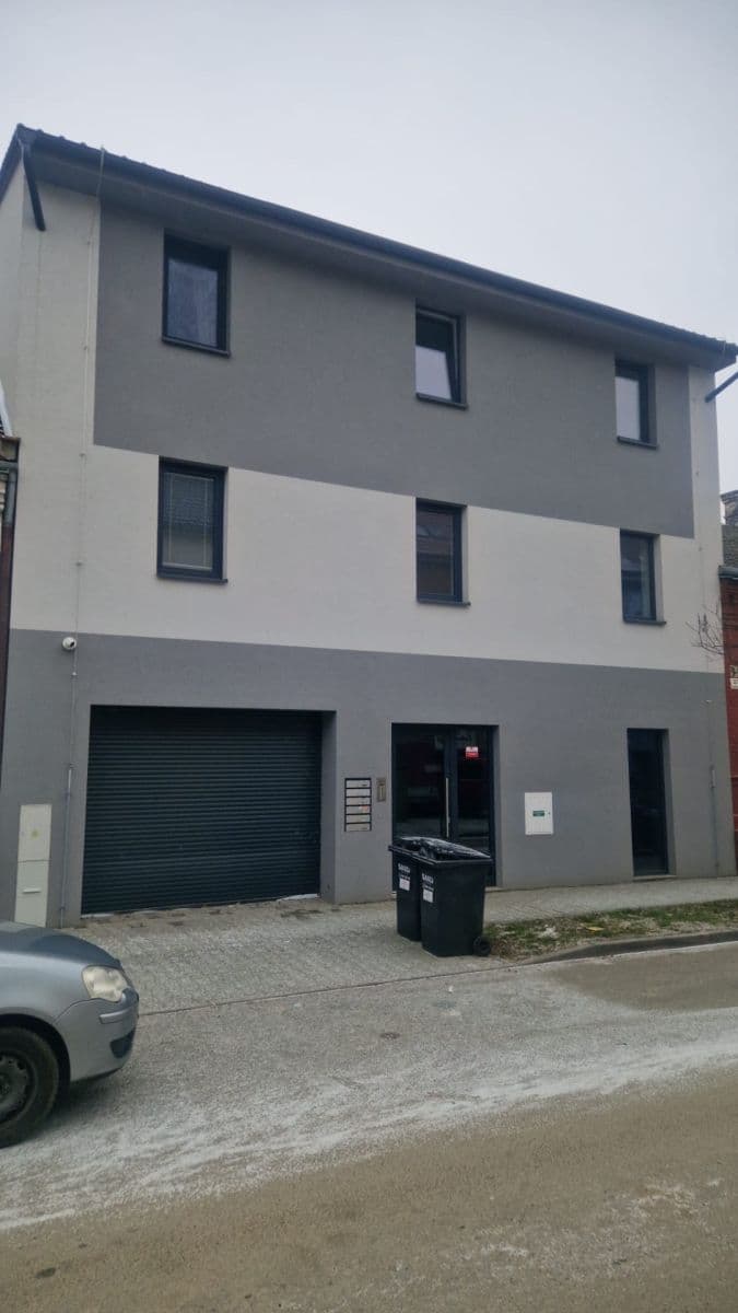 1 bedroom with open-plan kitchen flat to rent, 54 m², Jeneweinova, Brno, Jihomoravský Region 1 bedroom with open-plan kitchen flat to rent, 54 m², Jeneweinova, Brno, Jihomoravský Region