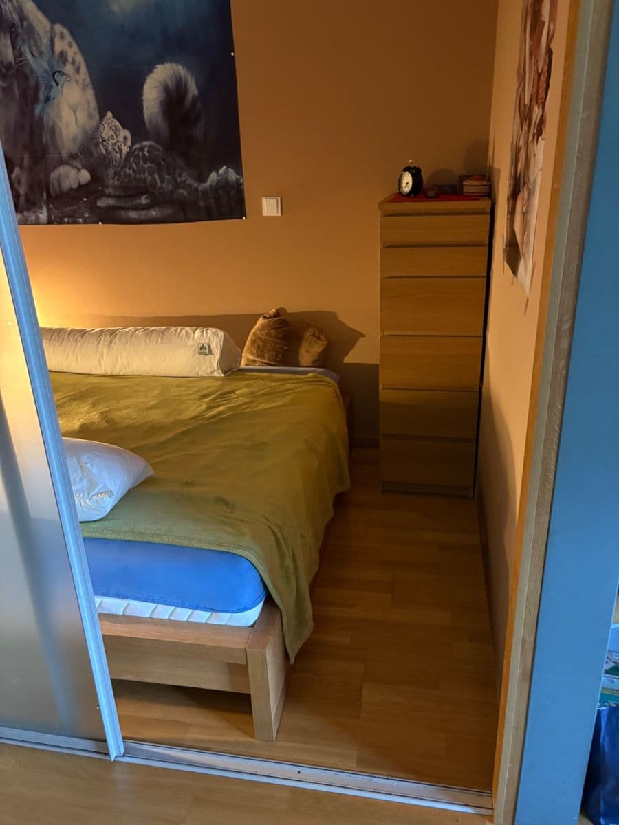 Studio flat to rent, 47 m², Litoměřická, Prague, Prague Studio flat to rent, 47 m², Litoměřická, Prague, Prague