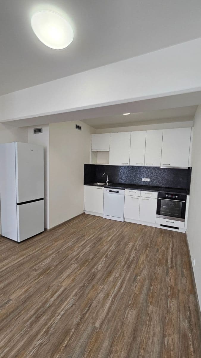 1 bedroom with open-plan kitchen flat to rent, 62 m², Sinkulova, Prague, Prague 1 bedroom with open-plan kitchen flat to rent, 62 m², Sinkulova, Prague, Prague