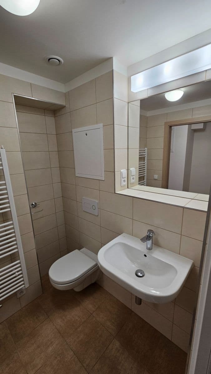 1 bedroom with open-plan kitchen flat to rent, 62 m², Sinkulova, Prague, Prague 1 bedroom with open-plan kitchen flat to rent, 62 m², Sinkulova, Prague, Prague