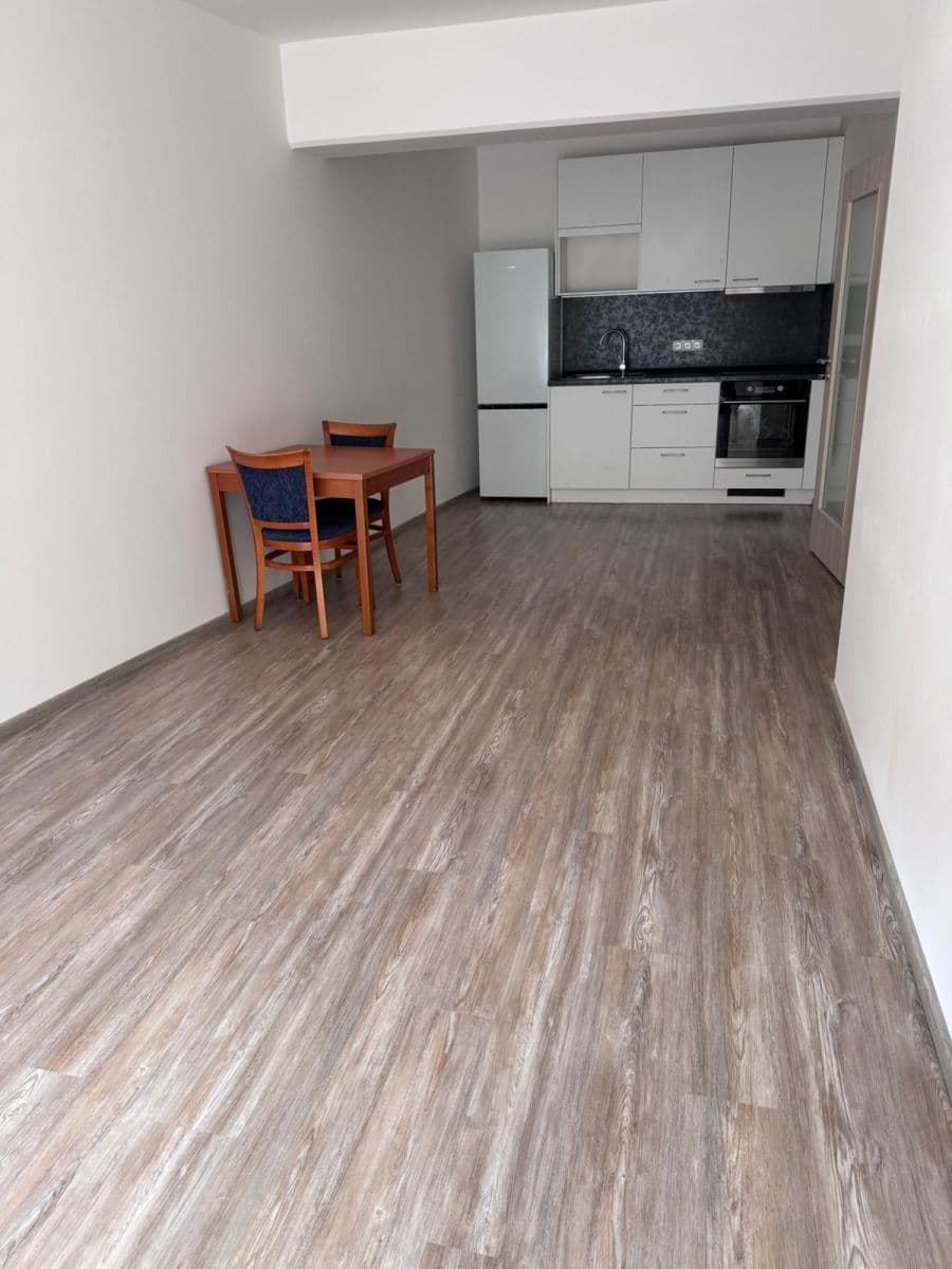 1 bedroom with open-plan kitchen flat to rent, 62 m², Sinkulova, Prague, Prague 1 bedroom with open-plan kitchen flat to rent, 62 m², Sinkulova, Prague, Prague