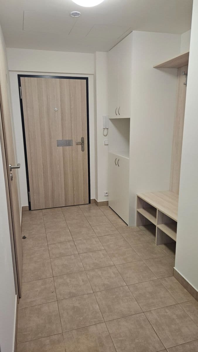 1 bedroom with open-plan kitchen flat to rent, 62 m², Sinkulova, Prague, Prague 1 bedroom with open-plan kitchen flat to rent, 62 m², Sinkulova, Prague, Prague