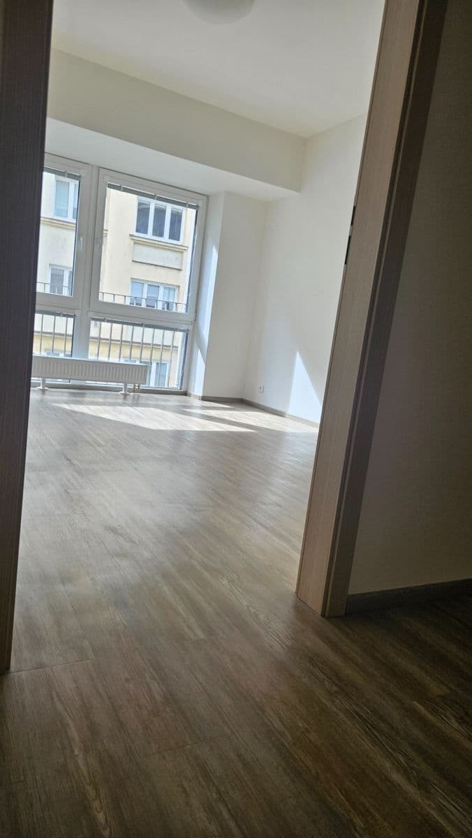 1 bedroom with open-plan kitchen flat to rent, 62 m², Sinkulova, Prague, Prague 1 bedroom with open-plan kitchen flat to rent, 62 m², Sinkulova, Prague, Prague