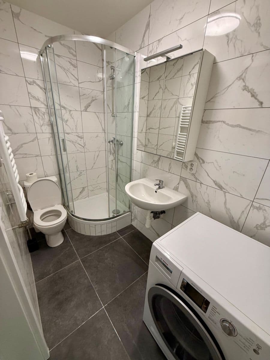 1 bedroom with open-plan kitchen flat to rent, 44 m², Lotyšská, Prague, Prague 1 bedroom with open-plan kitchen flat to rent, 44 m², Lotyšská, Prague, Prague