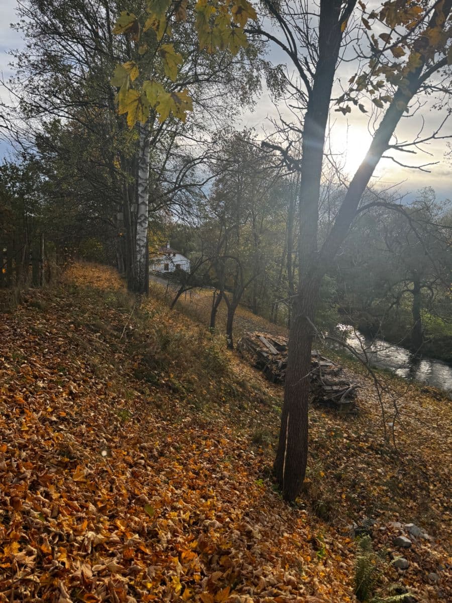 plot for sale, 366 m², Dolní Žďár, Jihočeský Region plot for sale, 366 m², Dolní Žďár, Jihočeský Region