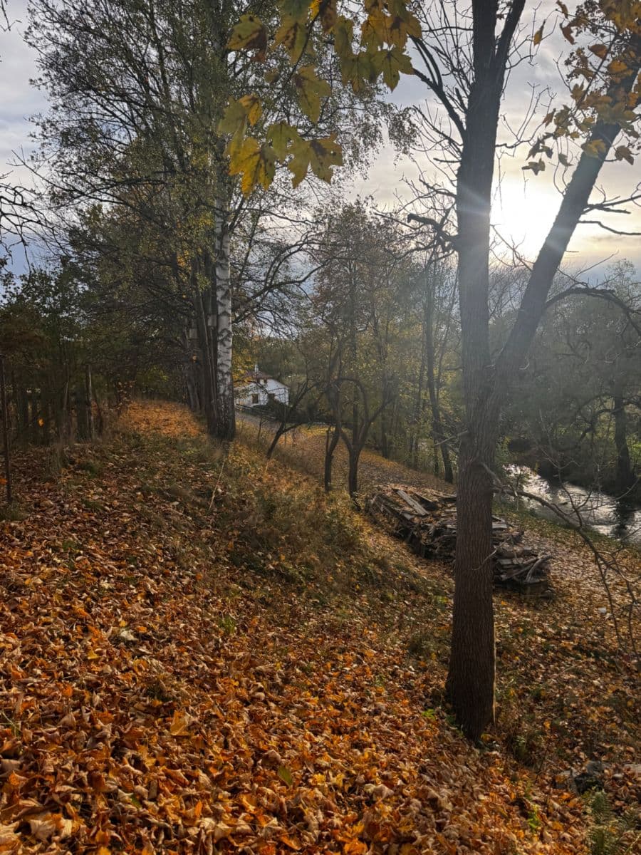 plot for sale, 366 m², Dolní Žďár, Jihočeský Region plot for sale, 366 m², Dolní Žďár, Jihočeský Region