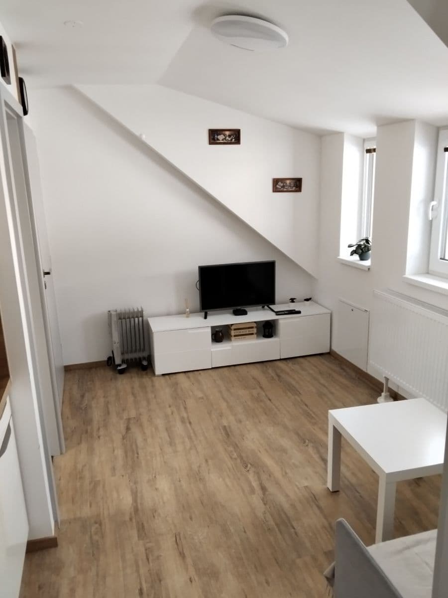 1 bedroom with open-plan kitchen flat to rent, 40 m², Lipno nad Vltavou, Jihočeský Region 1 bedroom with open-plan kitchen flat to rent, 40 m², Lipno nad Vltavou, Jihočeský Region