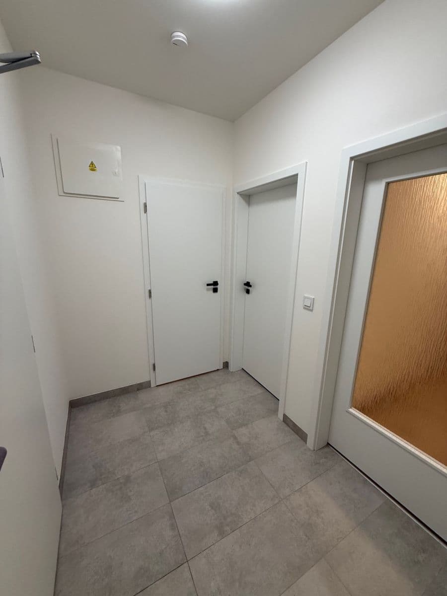 1 bedroom with open-plan kitchen flat to rent, 42 m², Fabiánové, Prague, Prague 1 bedroom with open-plan kitchen flat to rent, 42 m², Fabiánové, Prague, Prague