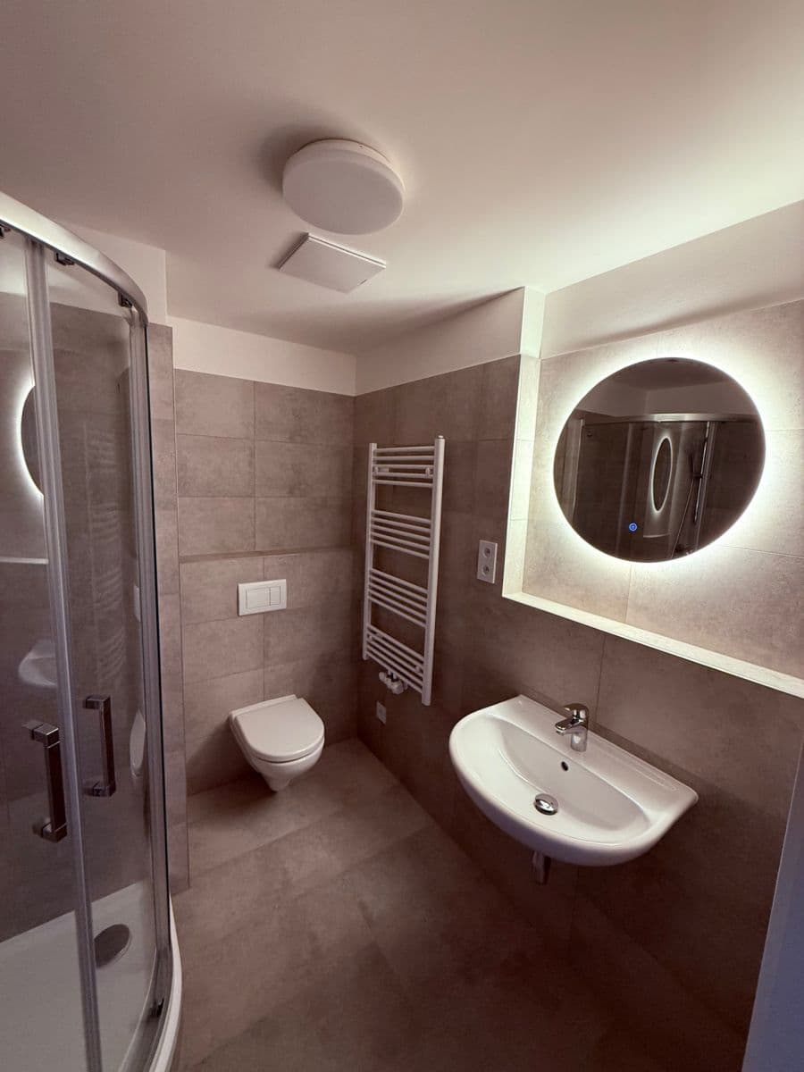 1 bedroom with open-plan kitchen flat to rent, 42 m², Fabiánové, Prague, Prague 1 bedroom with open-plan kitchen flat to rent, 42 m², Fabiánové, Prague, Prague