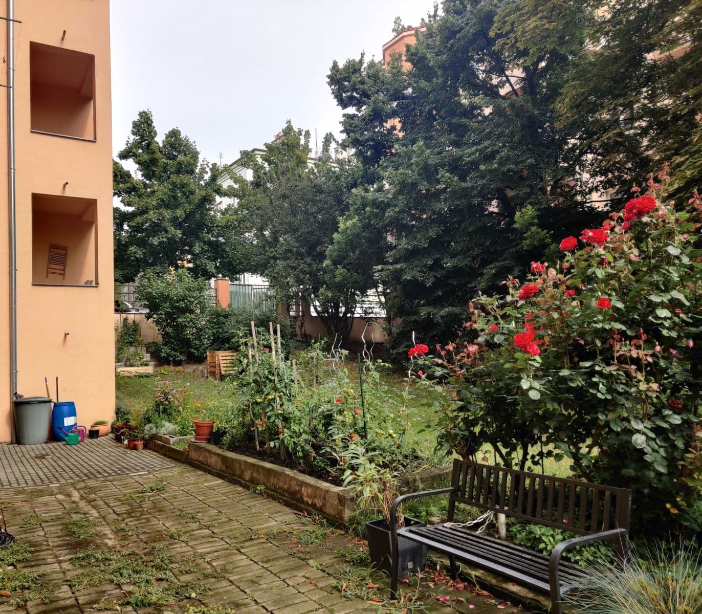 1 bedroom with open-plan kitchen flat to rent, 45 m², Hartigova, Prague, Prague 1 bedroom with open-plan kitchen flat to rent, 45 m², Hartigova, Prague, Prague