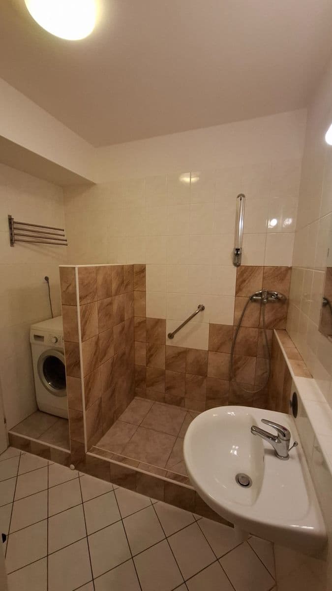 1 bedroom with open-plan kitchen flat to rent, 43 m², Hnězdenská, Prague, Prague 1 bedroom with open-plan kitchen flat to rent, 43 m², Hnězdenská, Prague, Prague