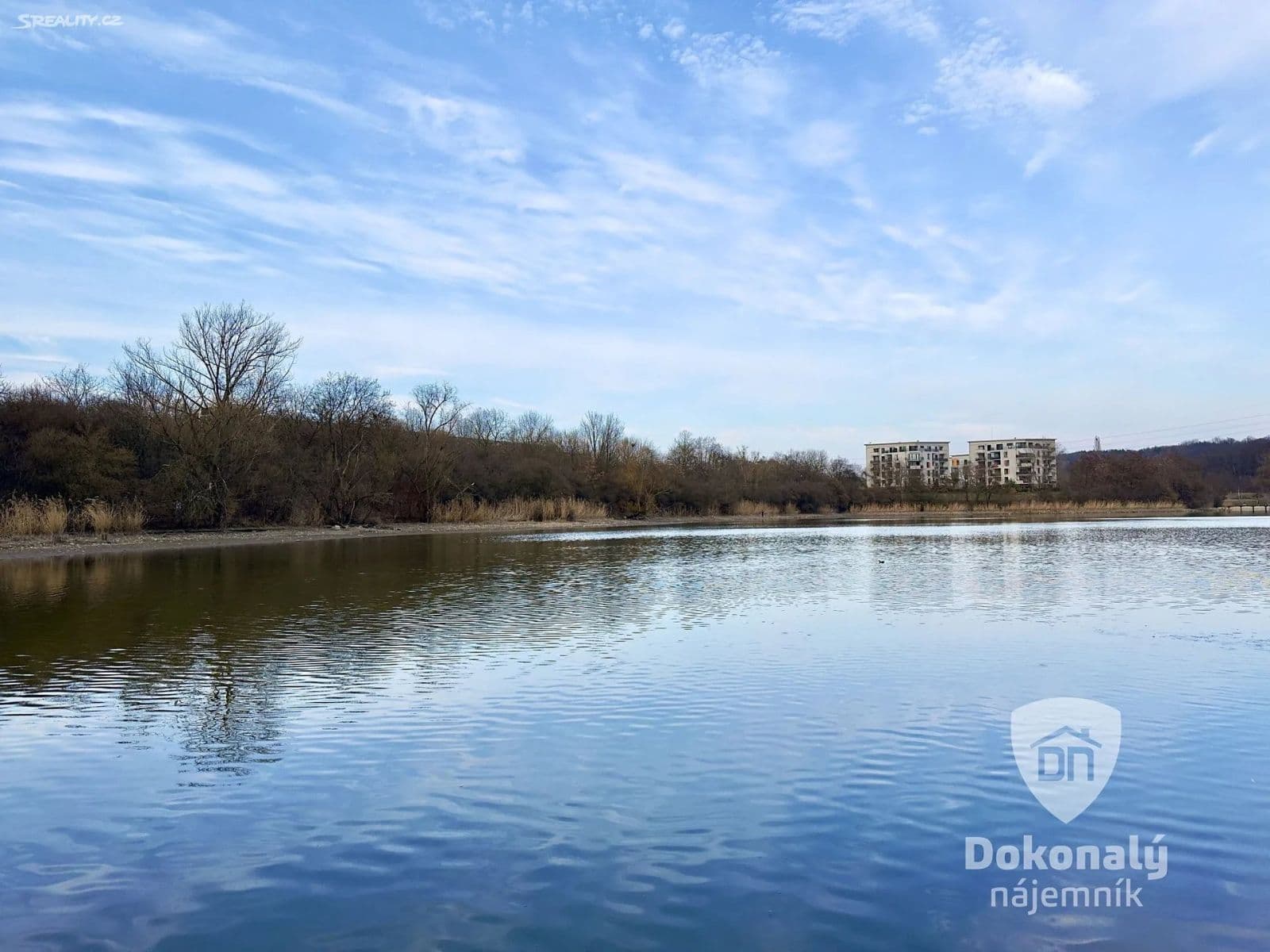 1 bedroom with open-plan kitchen flat to rent, 56 m², Poděbradská, Prague, Prague 1 bedroom with open-plan kitchen flat to rent, 56 m², Poděbradská, Prague, Prague