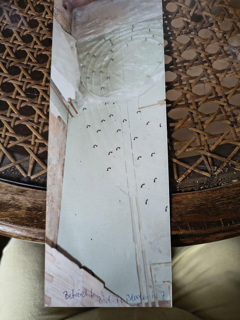 house for sale, 130 m², Friesack, Brandenburg house for sale, 130 m², Friesack, Brandenburg