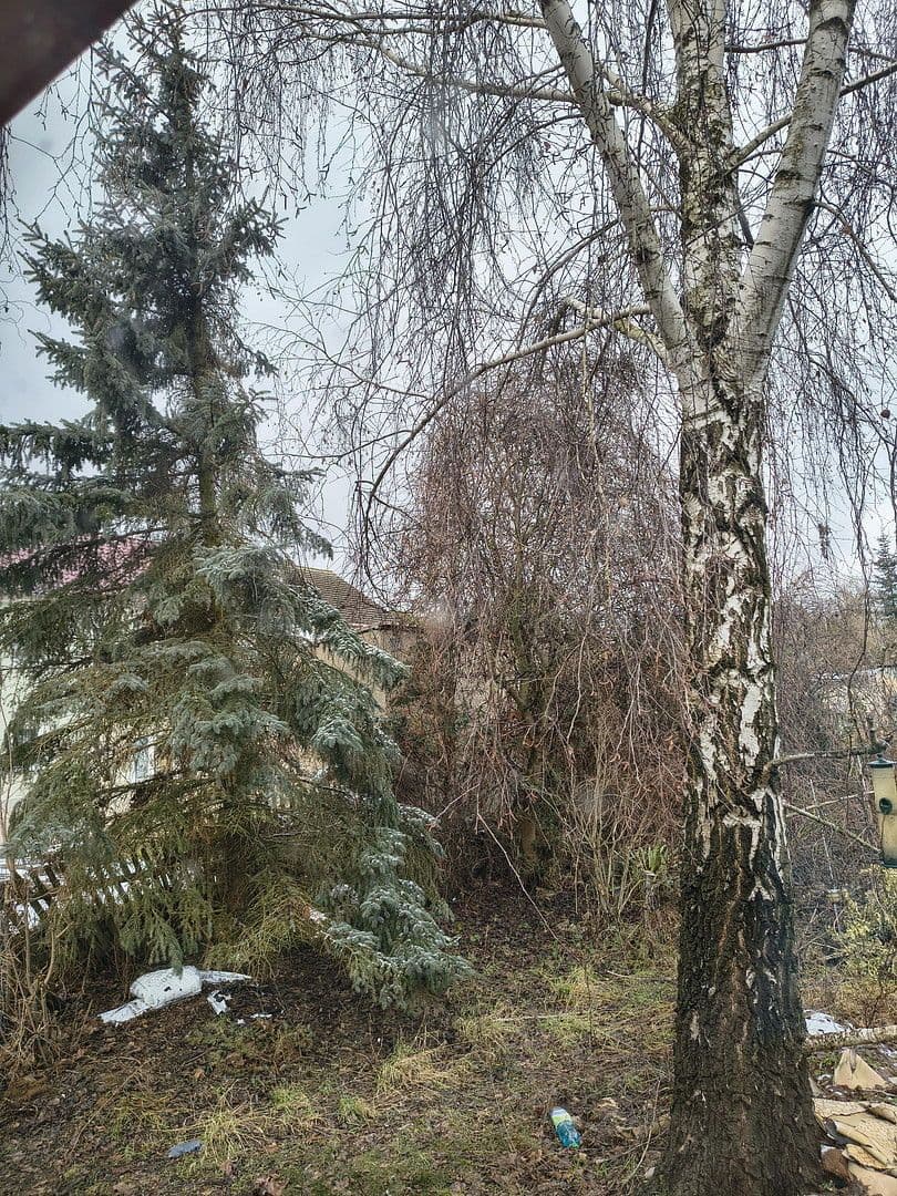 house for sale, 130 m², Friesack, Brandenburg house for sale, 130 m², Friesack, Brandenburg