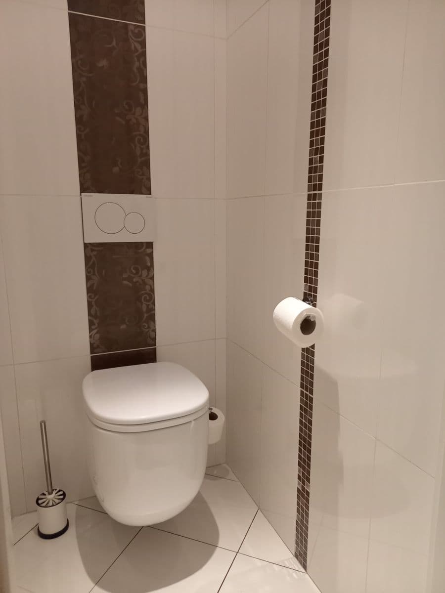 1 bedroom with open-plan kitchen flat to rent, 47 m², Zengrova, Prague, Prague 1 bedroom with open-plan kitchen flat to rent, 47 m², Zengrova, Prague, Prague