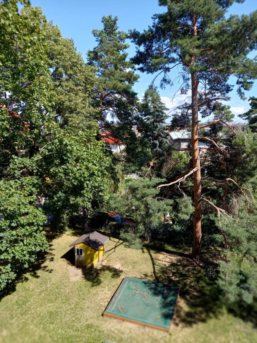 1 bedroom with open-plan kitchen flat to rent, 47 m², Zengrova, Prague, Prague 1 bedroom with open-plan kitchen flat to rent, 47 m², Zengrova, Prague, Prague