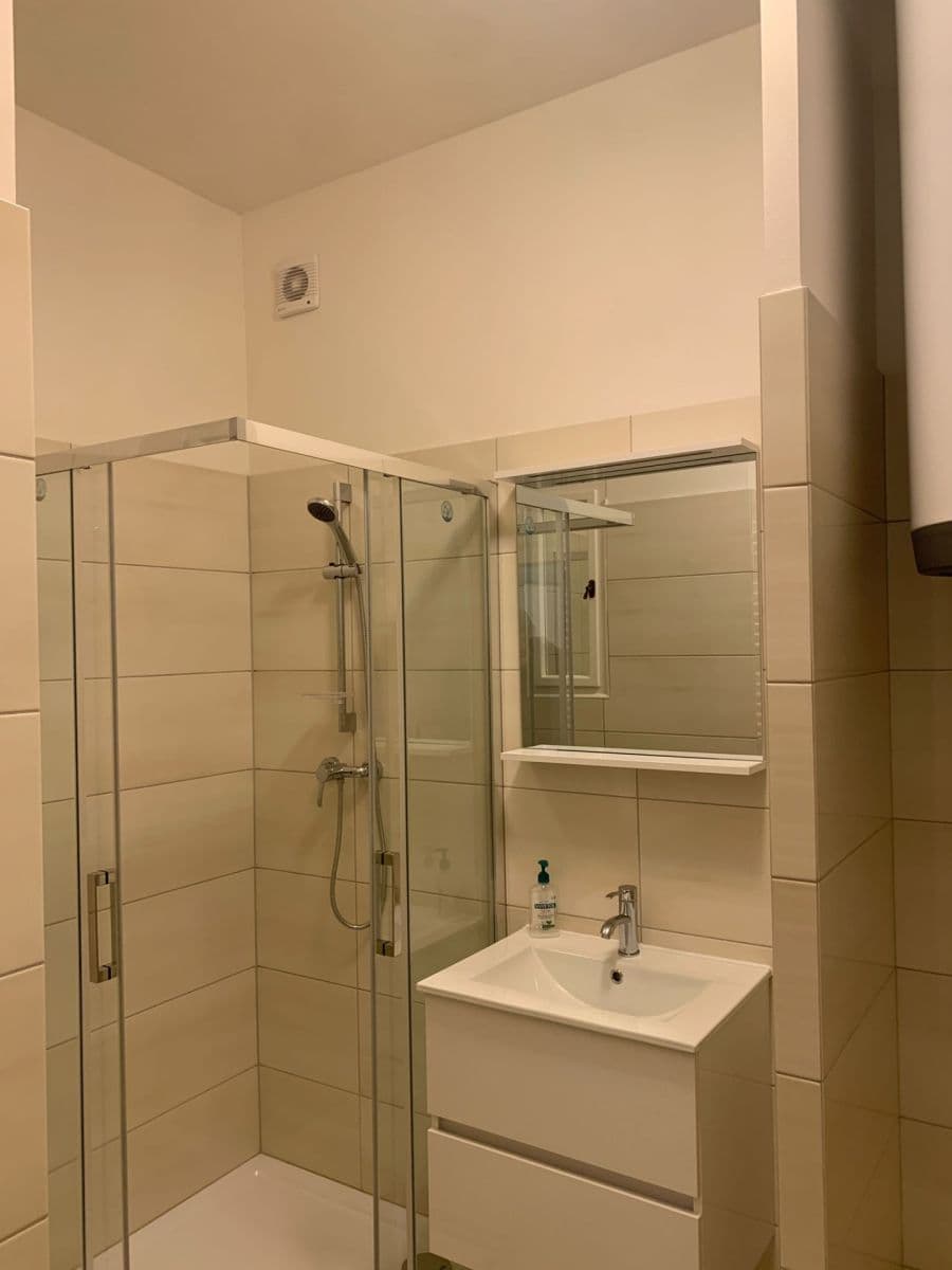 1 bedroom with open-plan kitchen flat to rent, 42 m², Vršovická, Prague, Prague 1 bedroom with open-plan kitchen flat to rent, 42 m², Vršovická, Prague, Prague