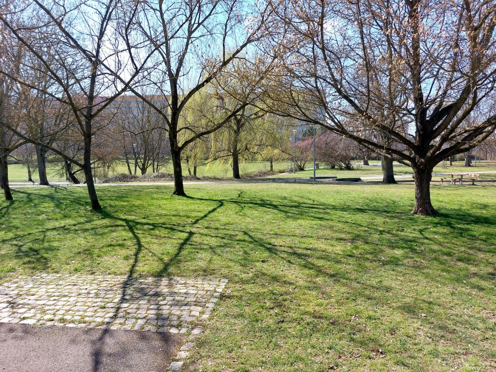 3 bedroom flat for sale, 57 m², Verneřická, Prague, Prague 3 bedroom flat for sale, 57 m², Verneřická, Prague, Prague