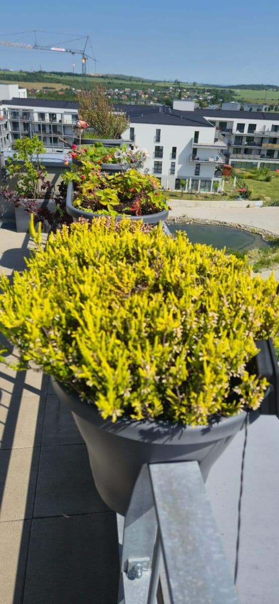 3 bedroom with open-plan kitchen flat for sale, 155 m², T. G. Masaryka, Horoměřice, Středočeský Region 3 bedroom with open-plan kitchen flat for sale, 155 m², T. G. Masaryka, Horoměřice, Středočeský Region