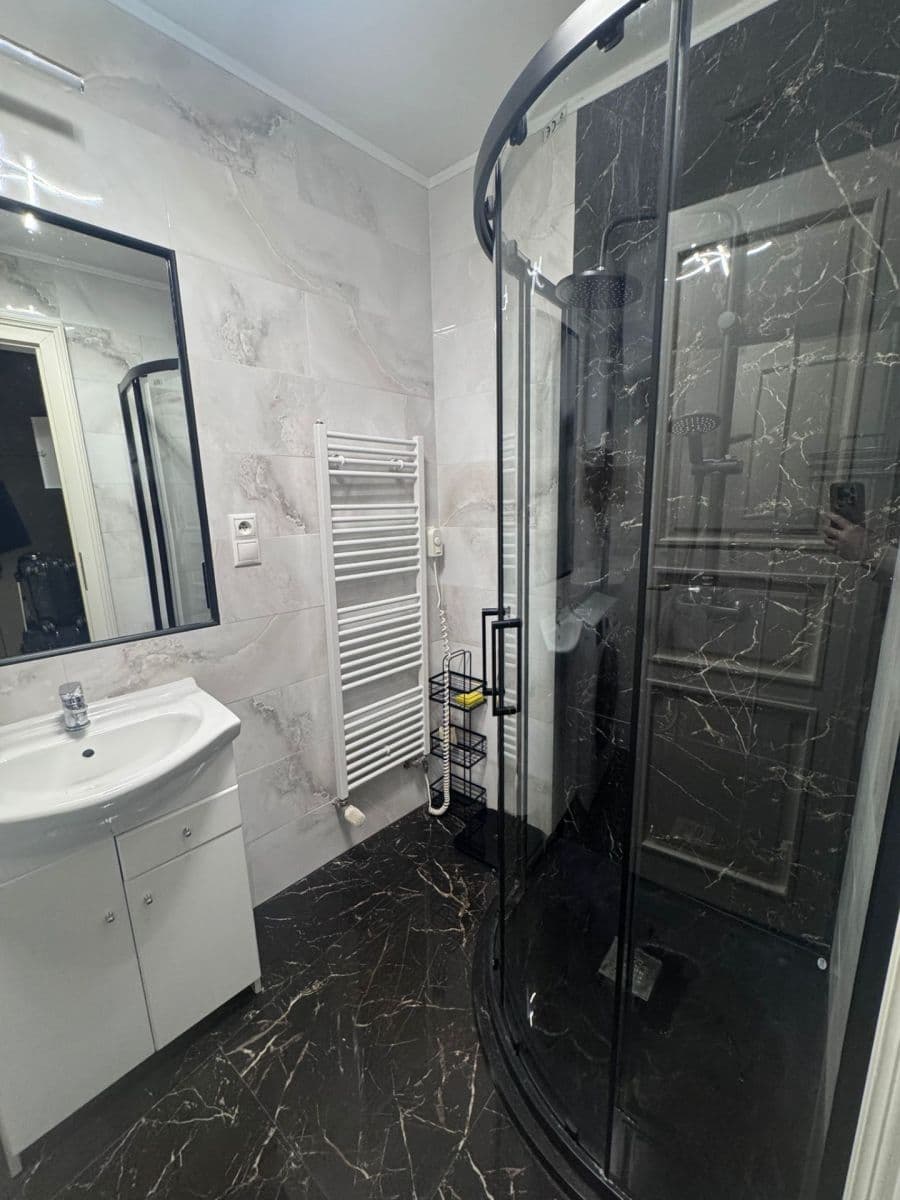 1 bedroom with open-plan kitchen flat to rent, 46 m², Londýnská, Prague, Prague 1 bedroom with open-plan kitchen flat to rent, 46 m², Londýnská, Prague, Prague