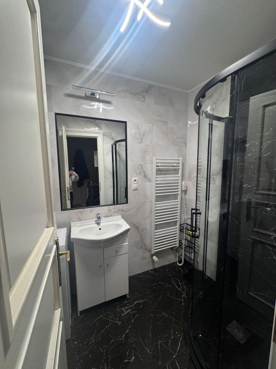 1 bedroom with open-plan kitchen flat to rent, 46 m², Londýnská, Prague, Prague 1 bedroom with open-plan kitchen flat to rent, 46 m², Londýnská, Prague, Prague