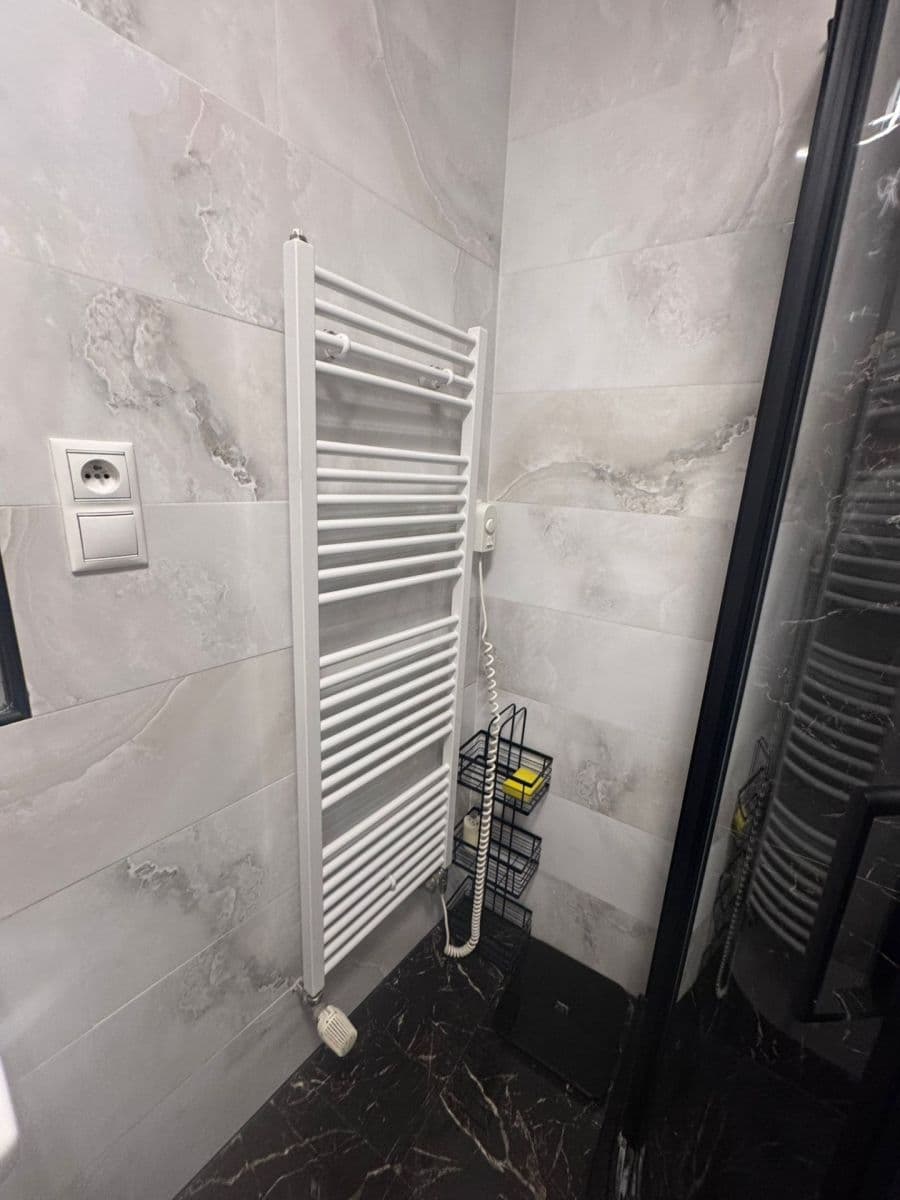 1 bedroom with open-plan kitchen flat to rent, 46 m², Londýnská, Prague, Prague 1 bedroom with open-plan kitchen flat to rent, 46 m², Londýnská, Prague, Prague