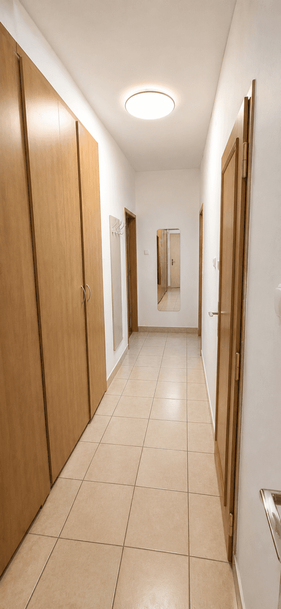 1 bedroom with open-plan kitchen flat for sale, 52 m², Bakalovo nábřeží, Brno, Jihomoravský Region 1 bedroom with open-plan kitchen flat for sale, 52 m², Bakalovo nábřeží, Brno, Jihomoravský Region