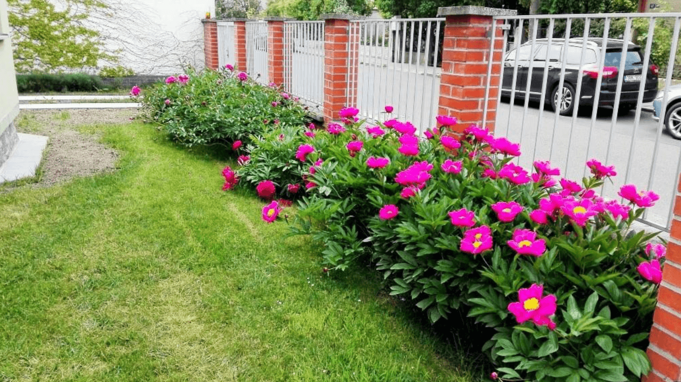 6 bedroom flat to rent, 129 m², Medkova, Prague, Prague 6 bedroom flat to rent, 129 m², Medkova, Prague, Prague