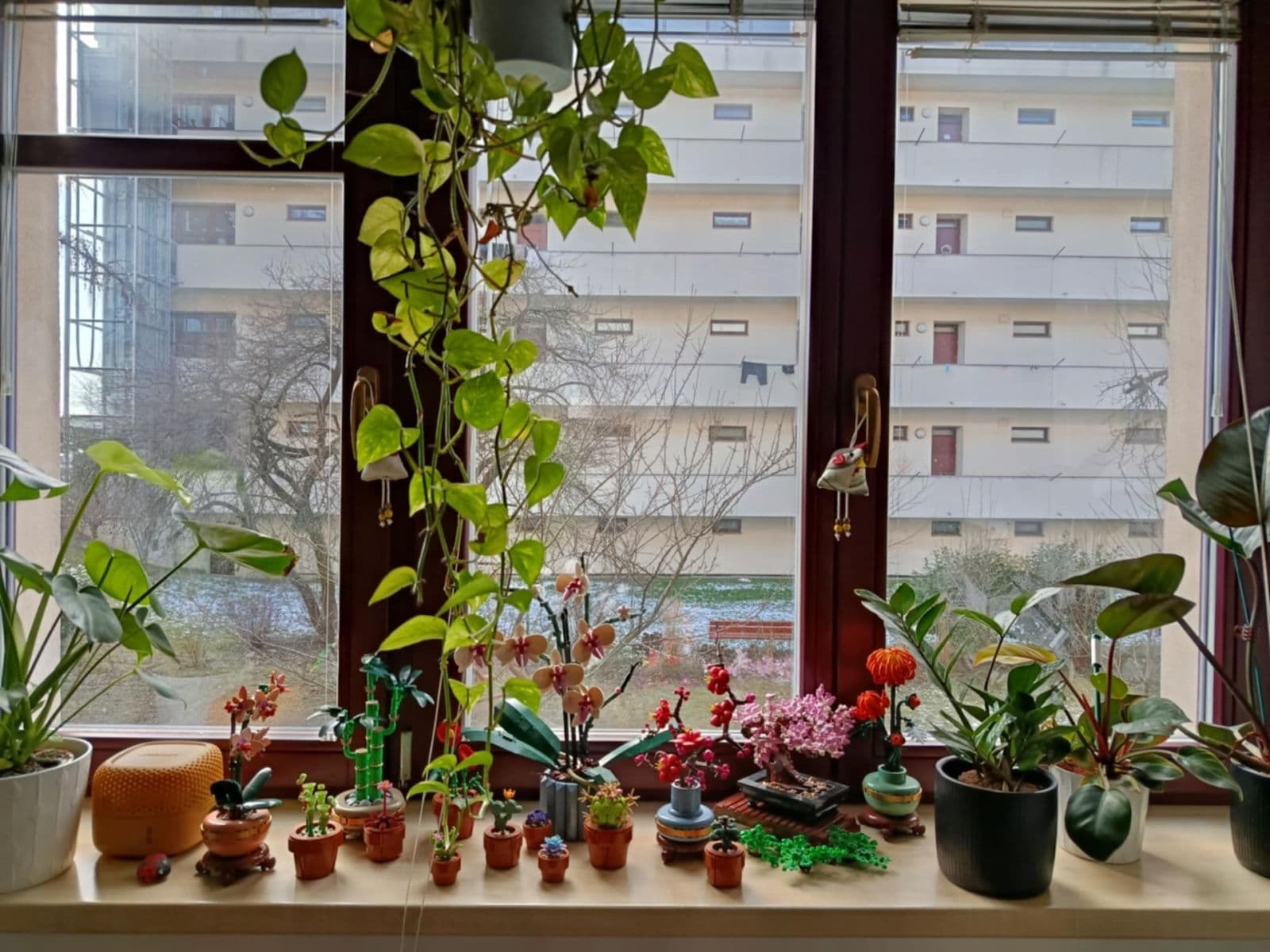 Studio flat to rent, 40 m², Dvorského, Brno, Jihomoravský Region Studio flat to rent, 40 m², Dvorského, Brno, Jihomoravský Region