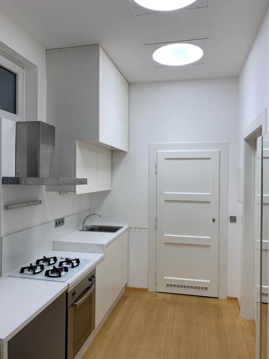 1 bedroom with open-plan kitchen flat to rent, 56 m², Na Maninách, Prague, Prague 1 bedroom with open-plan kitchen flat to rent, 56 m², Na Maninách, Prague, Prague