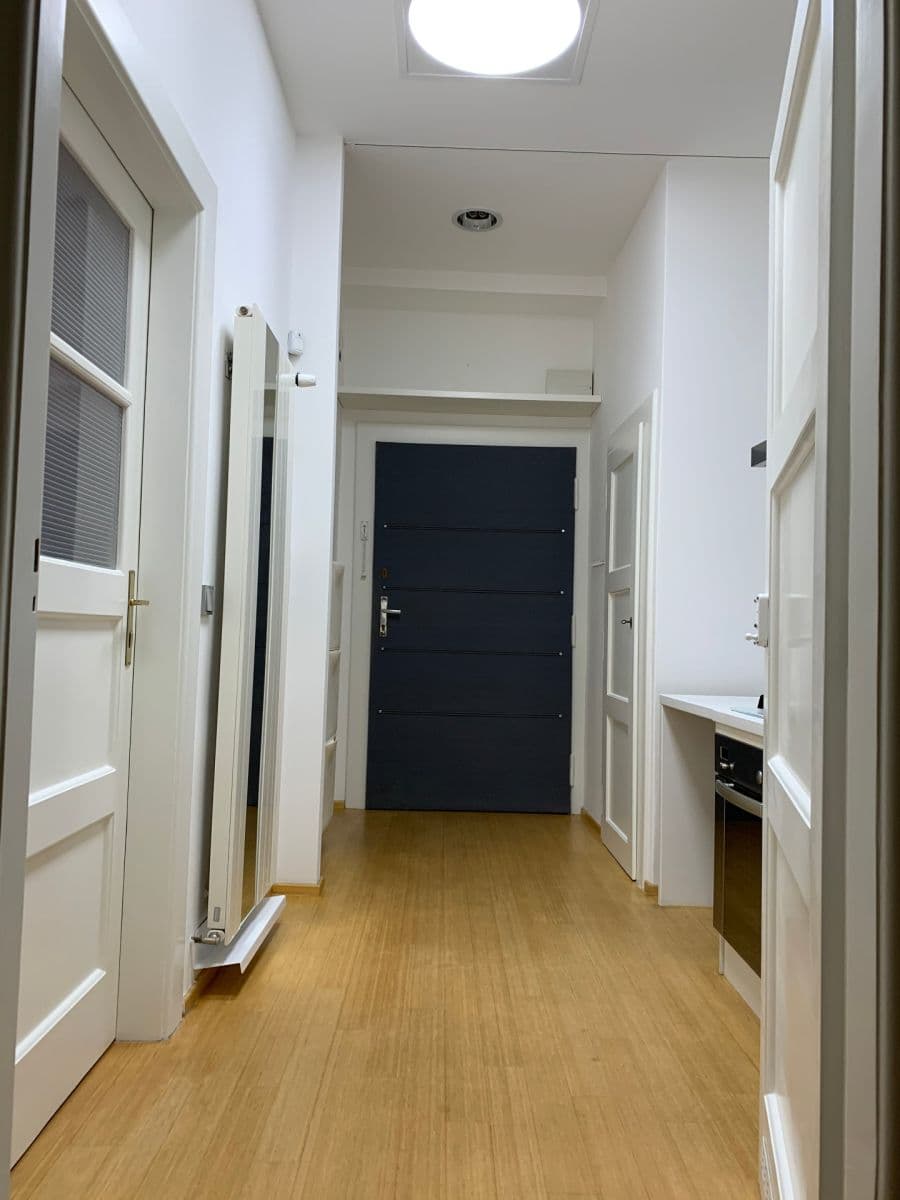 1 bedroom with open-plan kitchen flat to rent, 56 m², Na Maninách, Prague, Prague 1 bedroom with open-plan kitchen flat to rent, 56 m², Na Maninách, Prague, Prague