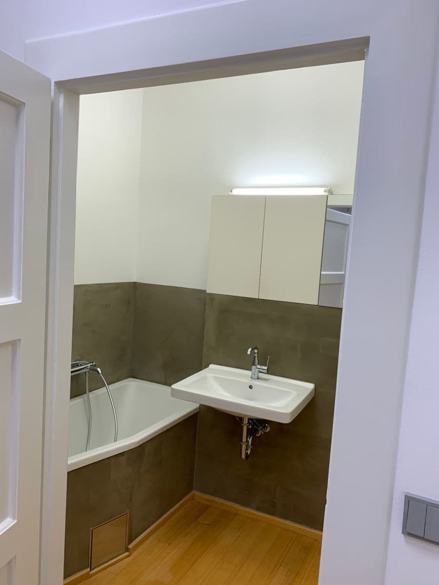 1 bedroom with open-plan kitchen flat to rent, 56 m², Na Maninách, Prague, Prague 1 bedroom with open-plan kitchen flat to rent, 56 m², Na Maninách, Prague, Prague