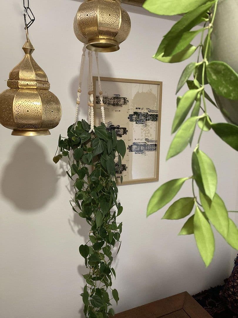 flat to rent, 9 m², Pfärrle 3, Augsburg, Bavaria flat to rent, 9 m², Pfärrle 3, Augsburg, Bavaria