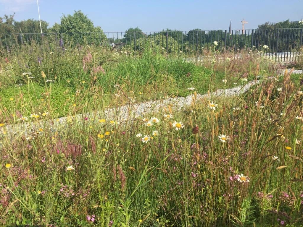 3 bedroom flat for sale, 64 m², München, Bavaria 3 bedroom flat for sale, 64 m², München, Bavaria