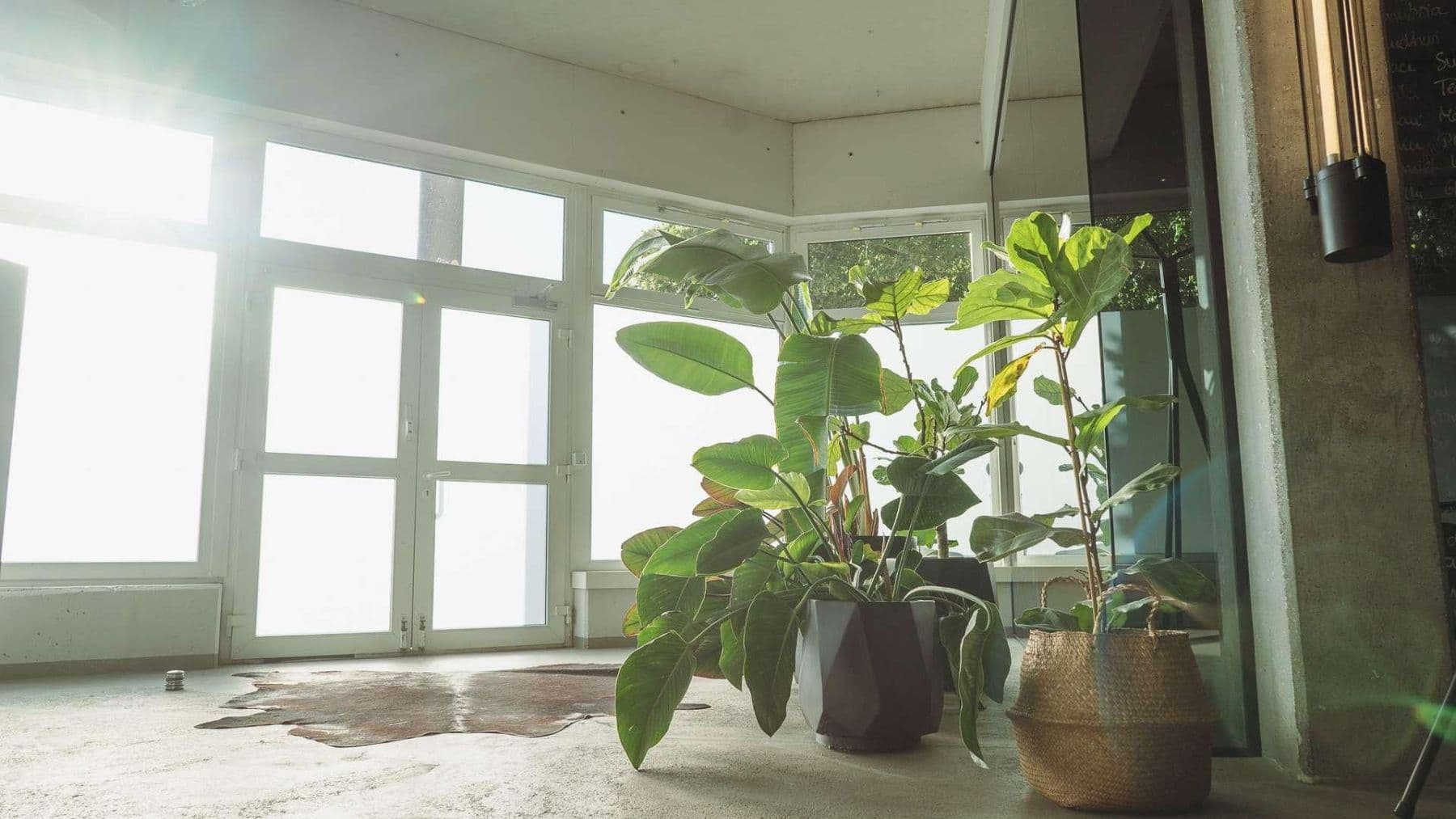 office to rent, 288 m², Danziger Str. 211, Berlin, Berlin office to rent, 288 m², Danziger Str. 211, Berlin, Berlin