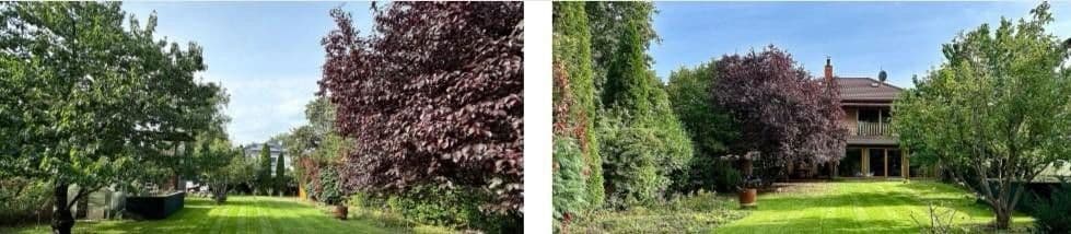 house for sale, 220 m², Falkensee, Brandenburg house for sale, 220 m², Falkensee, Brandenburg