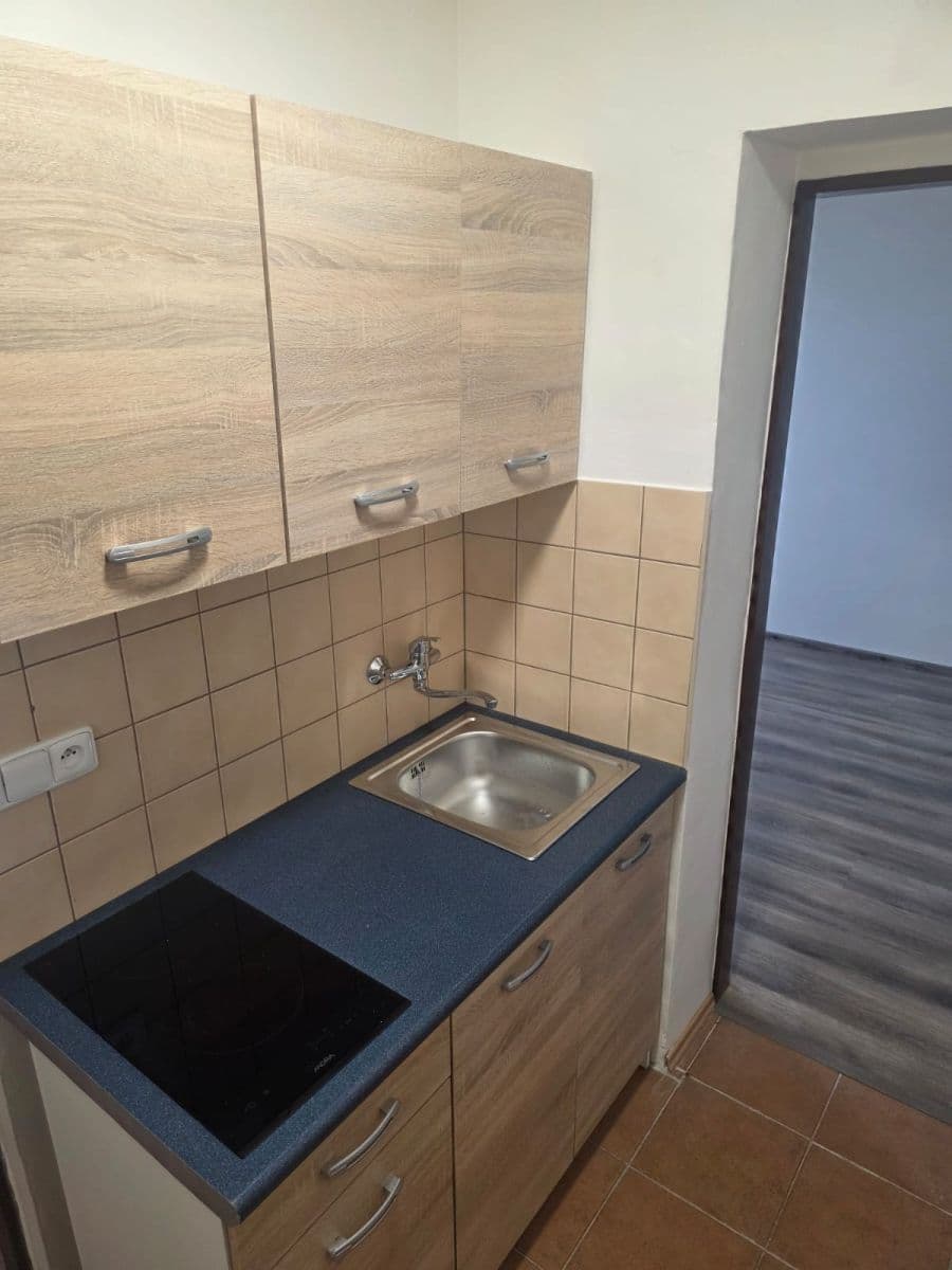 1 bedroom flat to rent, 18 m², Hlavní, Panenské Břežany, Středočeský Region 1 bedroom flat to rent, 18 m², Hlavní, Panenské Břežany, Středočeský Region