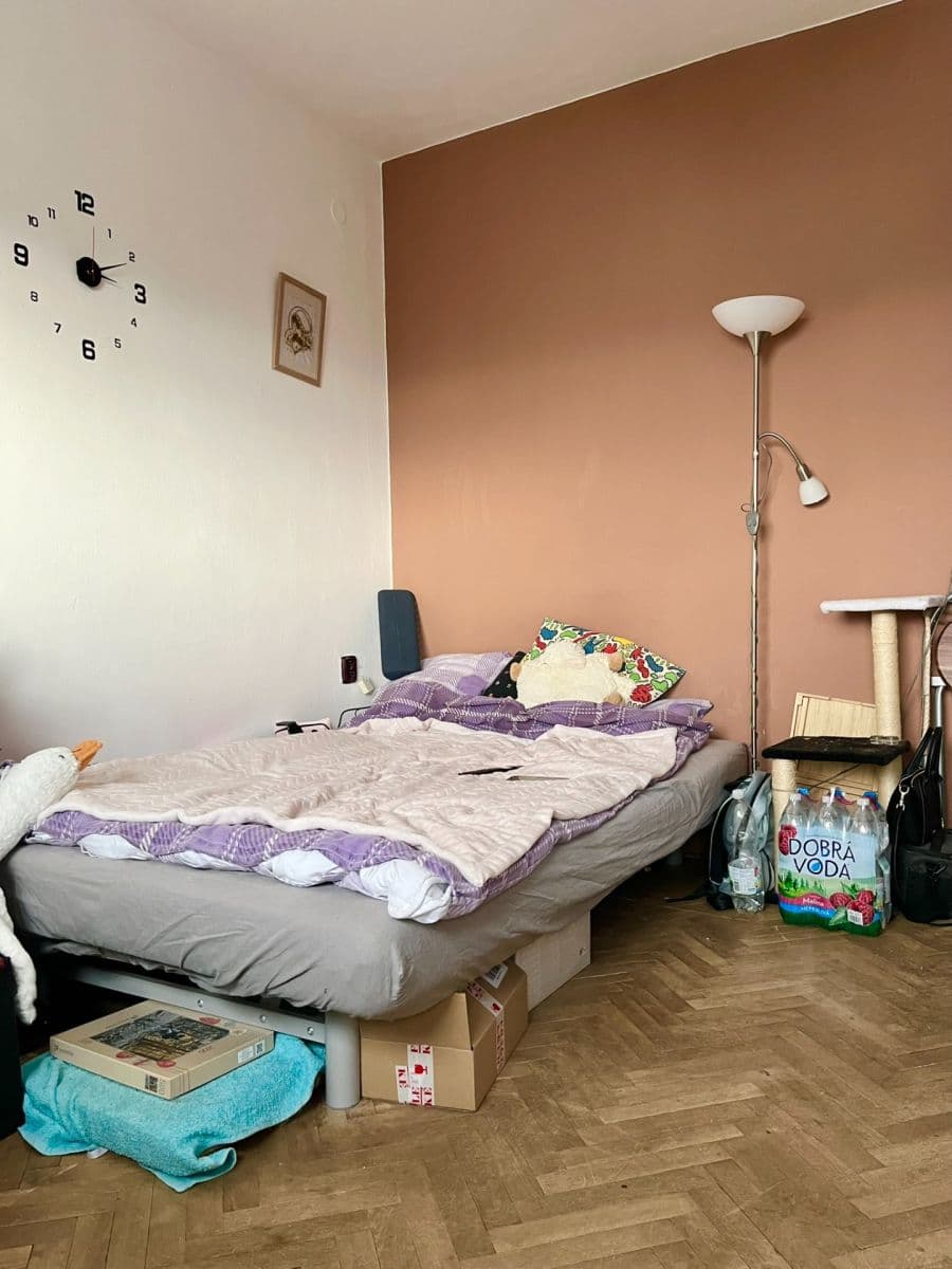 Studio flat for sale, 20 m², Kneslova, Brno, Jihomoravský Region Studio flat for sale, 20 m², Kneslova, Brno, Jihomoravský Region