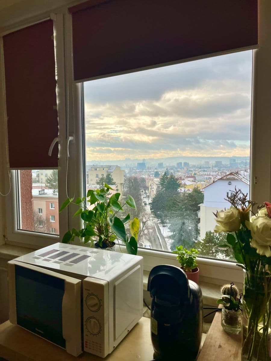 Studio flat for sale, 20 m², Kneslova, Brno, Jihomoravský Region Studio flat for sale, 20 m², Kneslova, Brno, Jihomoravský Region