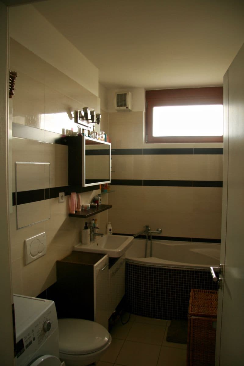 1 bedroom with open-plan kitchen flat for sale, 54 m², Pod Lipami, Prague, Prague 1 bedroom with open-plan kitchen flat for sale, 54 m², Pod Lipami, Prague, Prague