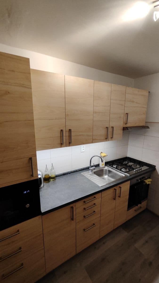 1 bedroom with open-plan kitchen flat to rent, 53 m², Tupolevova, Prague, Prague 1 bedroom with open-plan kitchen flat to rent, 53 m², Tupolevova, Prague, Prague