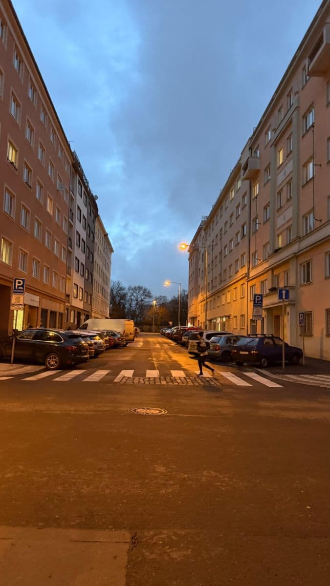 1 bedroom with open-plan kitchen flat to rent, 32 m², Písecká, Prague, Prague 1 bedroom with open-plan kitchen flat to rent, 32 m², Písecká, Prague, Prague