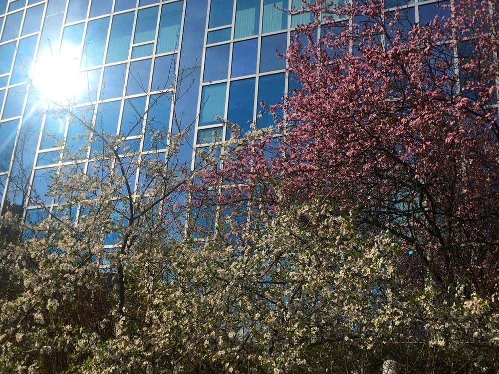 6 bedroom flat for sale, 202 m², Berlin, Berlin 6 bedroom flat for sale, 202 m², Berlin, Berlin