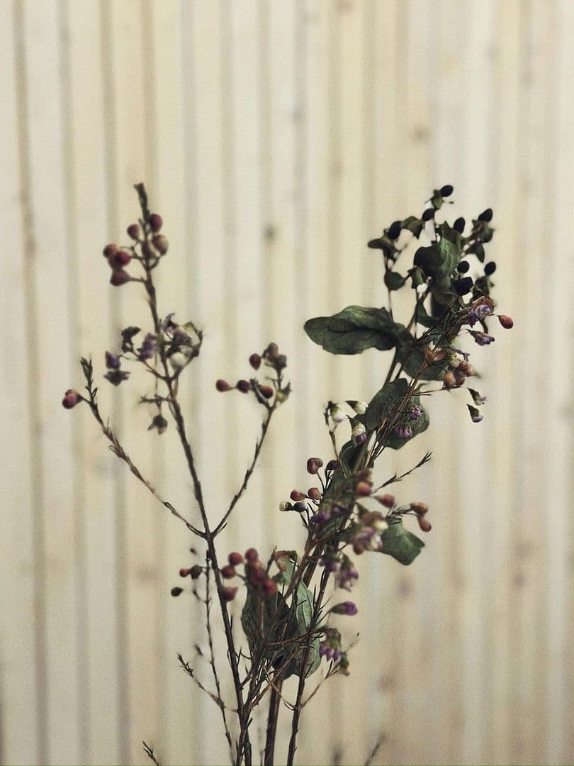 office to rent, 135 m², Stuttgart, Baden-Württemberg office to rent, 135 m², Stuttgart, Baden-Württemberg